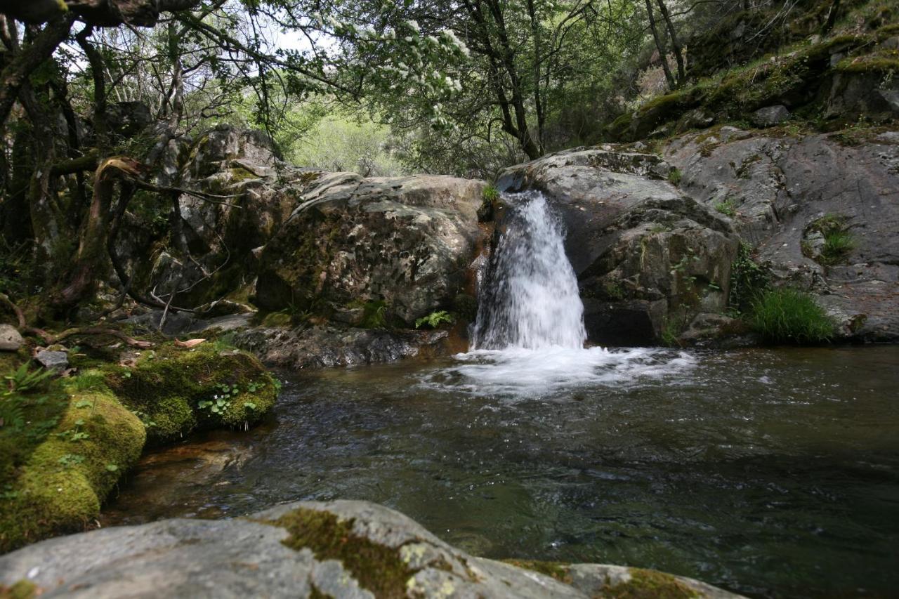 Casa Ribeira De Pera Villa Castanheira de Pera Exteriör bild